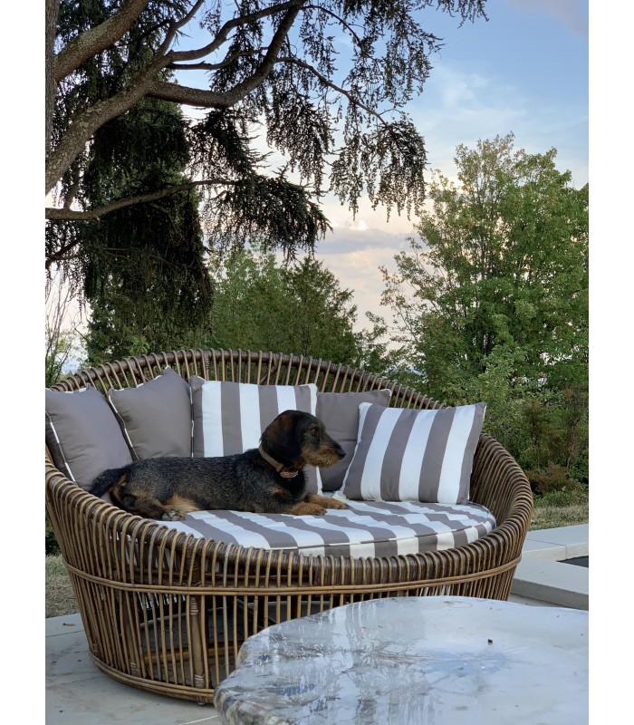 fauteuil de jardin en rotin (coussins et notre chien Petrus non fournis)